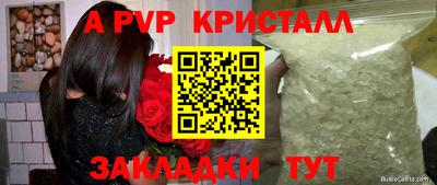 гидра Будённовск