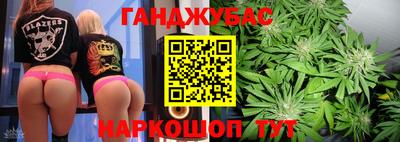 гидра Будённовск