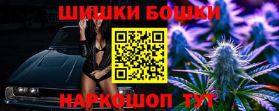 гидра Будённовск