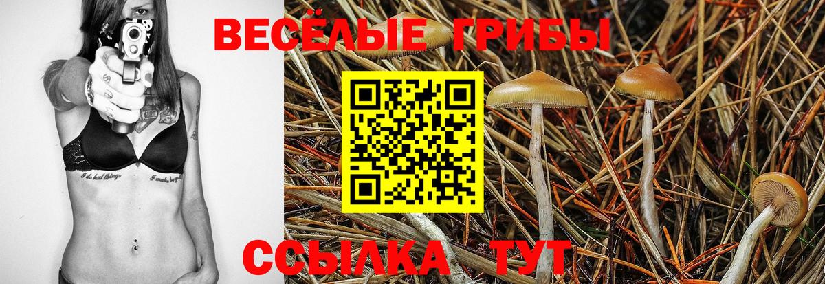 Псилоцибиновые грибы MAGIC MUSHROOMS Новороссийск